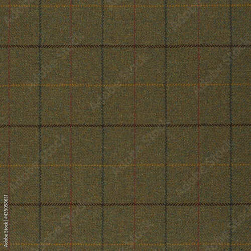 Plaid tweed fabric texture in green