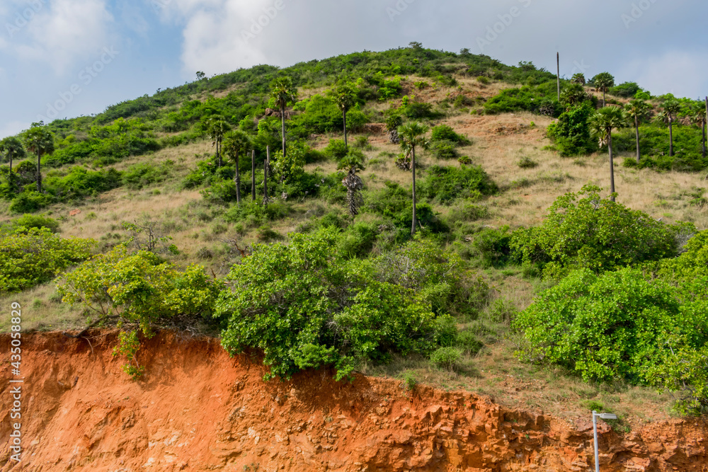 small mountain a lot of palm and cashew trees looking greenery with blue sky background.