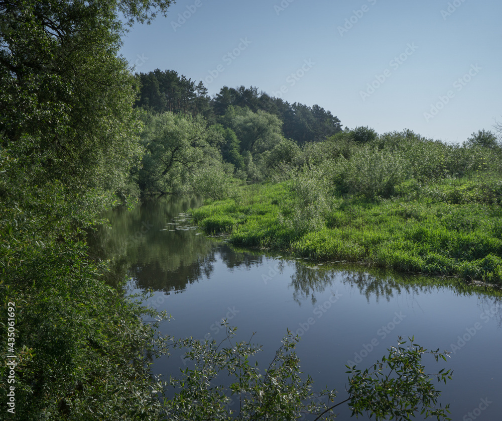 Landscape with a forest river and dense trees. Landscape with a forest river and dense trees.