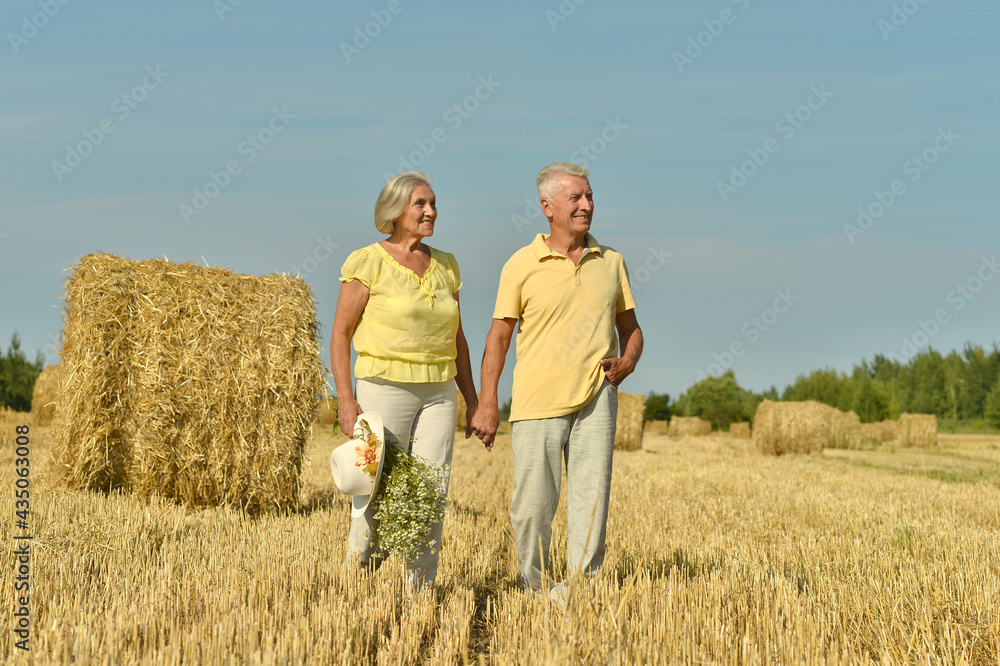 Senior couple resting at summer field Senior couple resting at summer field
