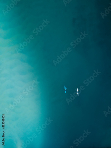 Aerial view of people kayaking in the Tallebudgera Creek, Gold Coast, Australia
