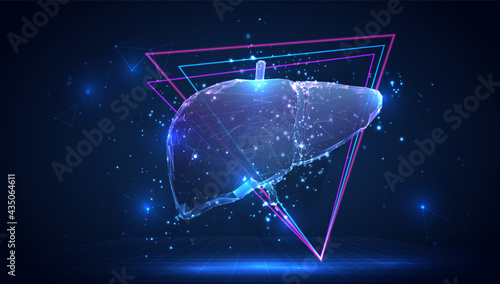vector 3d human liver on a blue background in virtual space