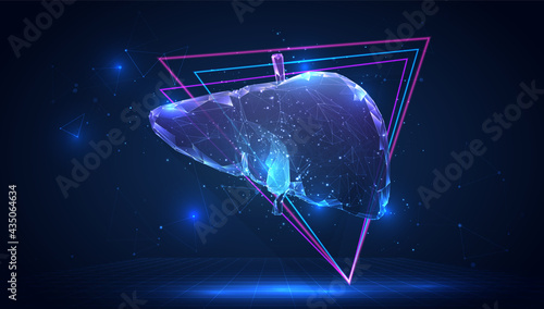 vector 3d human liver on a blue background in virtual space