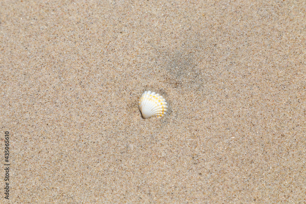 Beach. Blue sea and white sand. Summer time. Seacost Beach. Blue sea and white sand. Summer time. Seacost