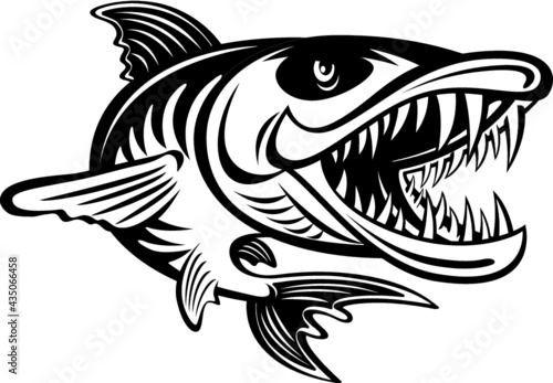 angry jumping cartoon style barracuda
