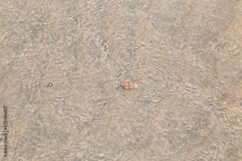 Beach. Blue sea and white sand. Summer time. Seacost