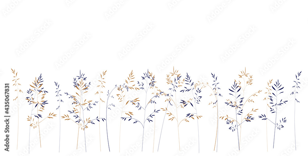Horizontal white banner or floral backdrop. Field grasses vector stock illustration. Spring botanical. Isolated on a white background.