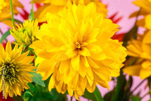 Summer bouquet yellow and red flowers on bright background. Chrysanthemums and dahlias close up. © Galina Atroshchenko