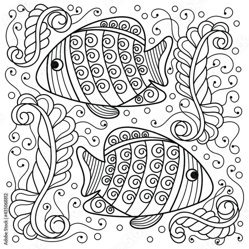 Coloring book for adults , underwater. Marine vector motif . Doodles of the underwater world, sea, ocean, river . Two fish and stylized underwater plants, Monochrome. Aquariums.