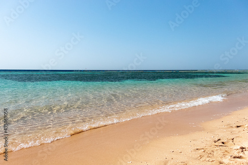 beach and sea and reef