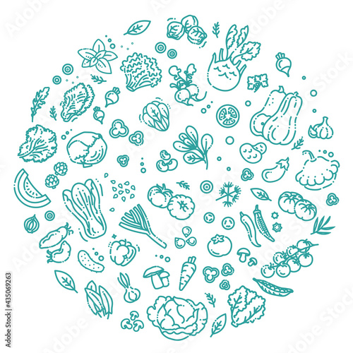 Vegetables doodle drawing collection. Vector illustration