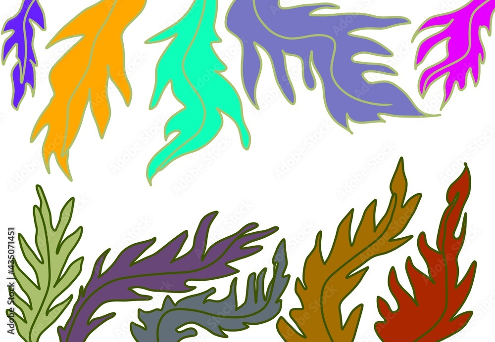 Cornice floreale botanica Cornice floreale botanica