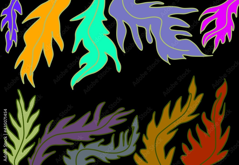 Cornice botanica sfondo nero foglie colorate 