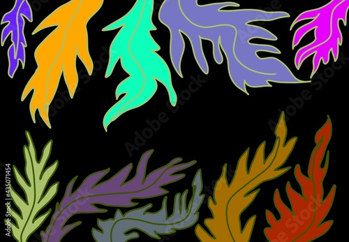 Fototapeta Naklejka Na Ścianę i Meble -  Cornice botanica sfondo nero foglie colorate 