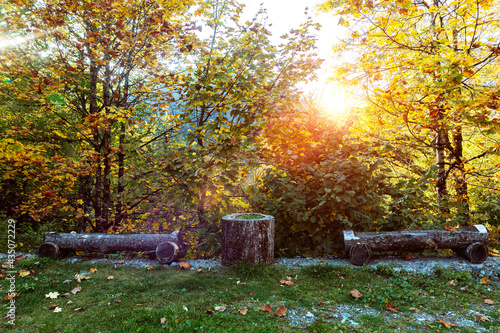 Cozy place for a picnic and outdoor relaxation. Forest © Amina