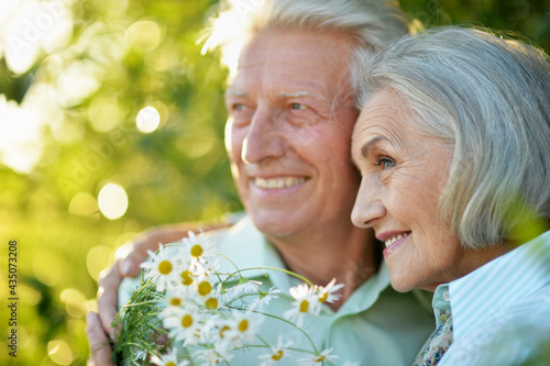 portrait of beautiful senior couple in the park © aletia2011