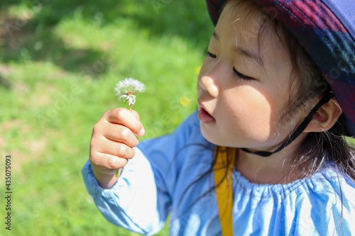 綿毛をふく幼稚園の女の子