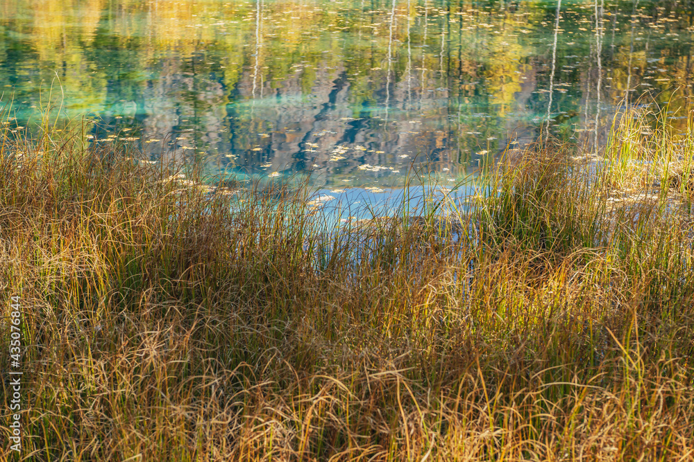 Colorful autumn landscape with yellow grass on background of clear mountain lake with reflection of yellow trees in sunshine. Bright scenery with turquoise lake in golden autumn colors in fall time. Colorful autumn landscape with yellow grass on background of clear mountain lake with reflection of yellow trees in sunshine. Bright scenery with turquoise lake in golden autumn colors in fall time.