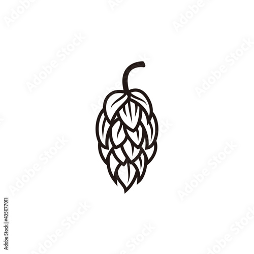 noble hops flower for brewery craft beer logo design vector