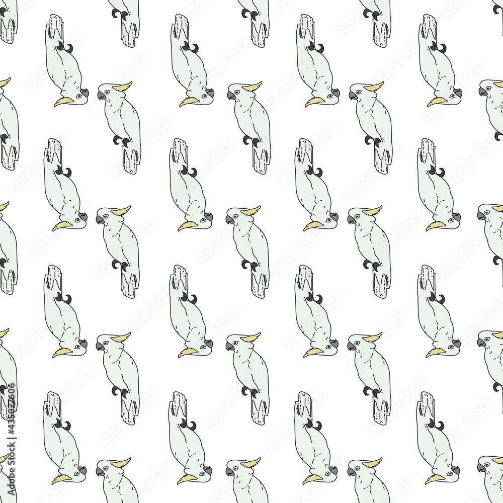 Vector white background tropical birds, parrots, exotic cockatoo birds. Seamless pattern background