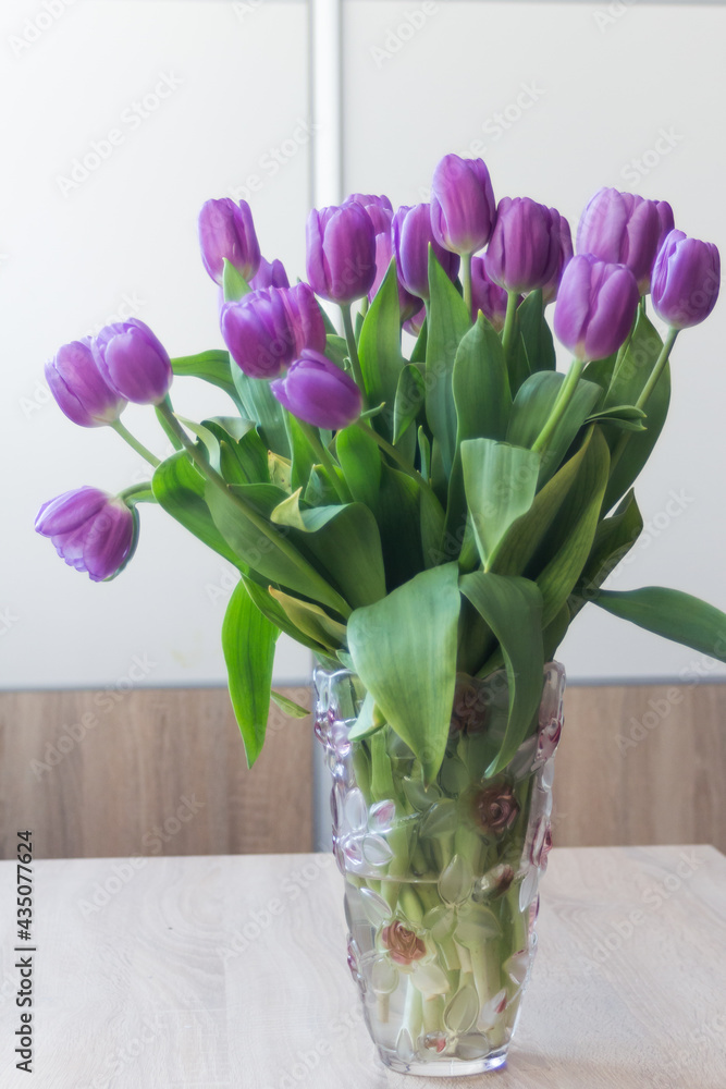 beautiful purple tulips for mum on the occasion of the day of the mother