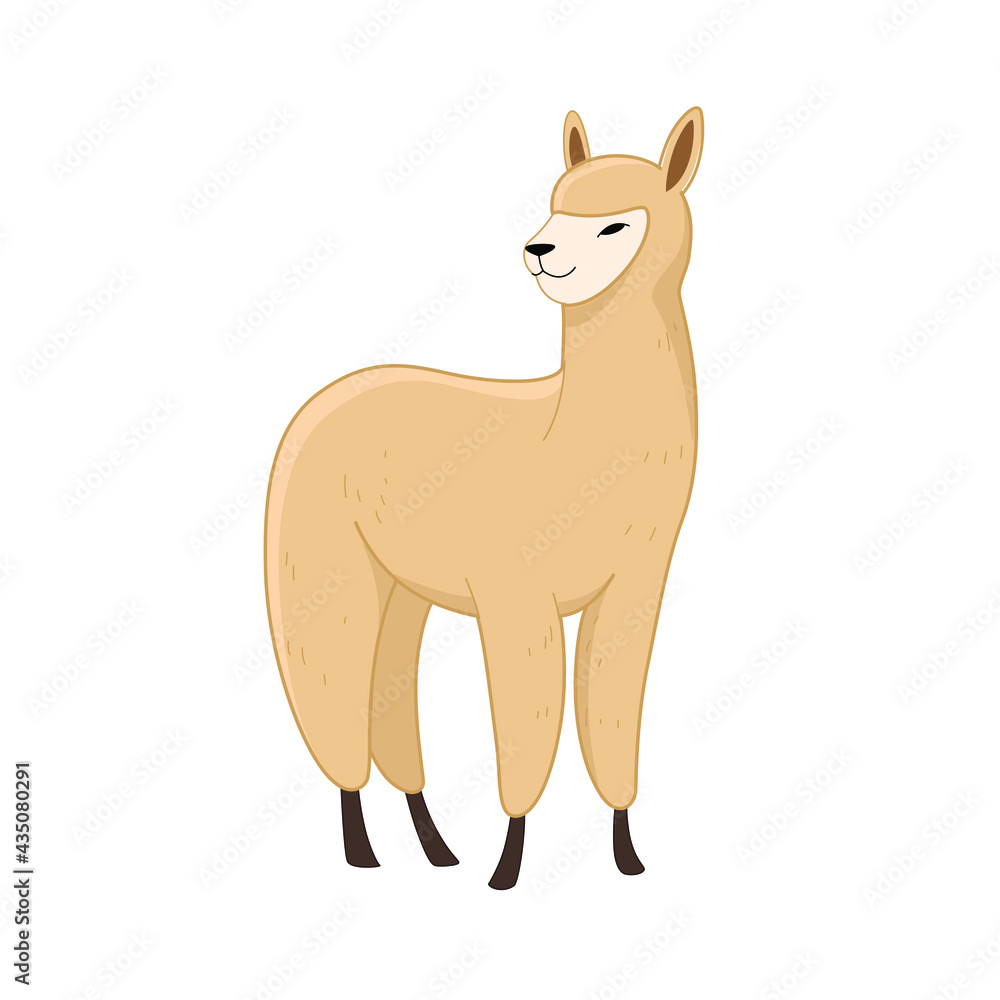 Fototapeta premium Cute alpaca - cartoon animal character. Vector illustration in flat style isolated on white background.