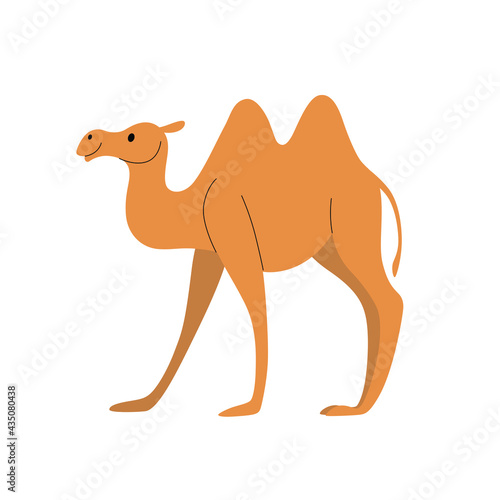 Cartoon camel - cute character for children. Vector illustration in cartoon style.