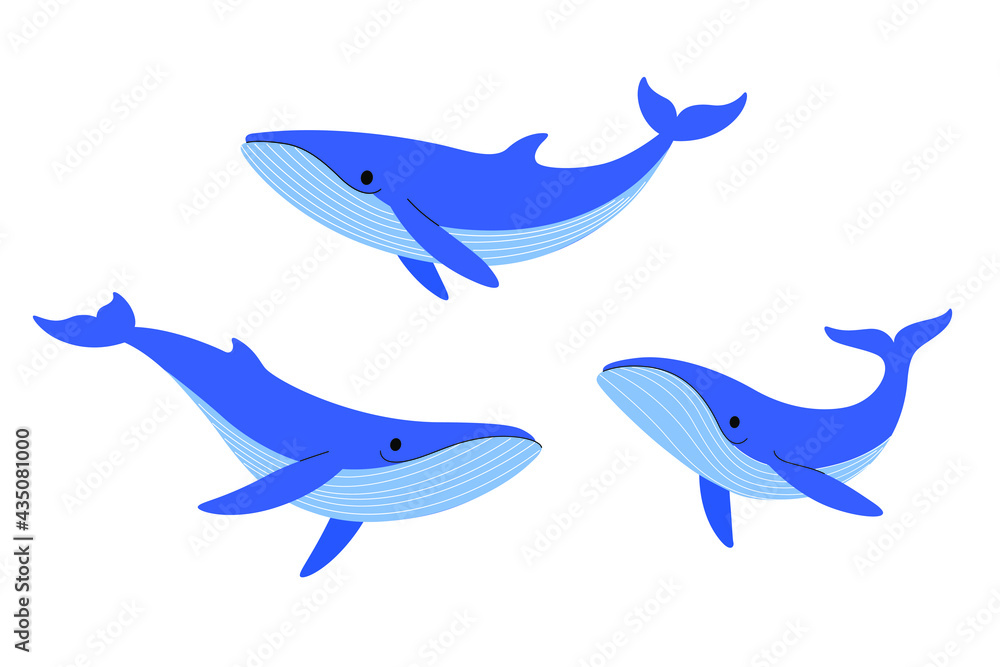 Fototapeta premium Cartoon whale sketch line icon. Kawaii animals icons set. Childish print for nursery, kids apparel, poster, postcard, pattern.