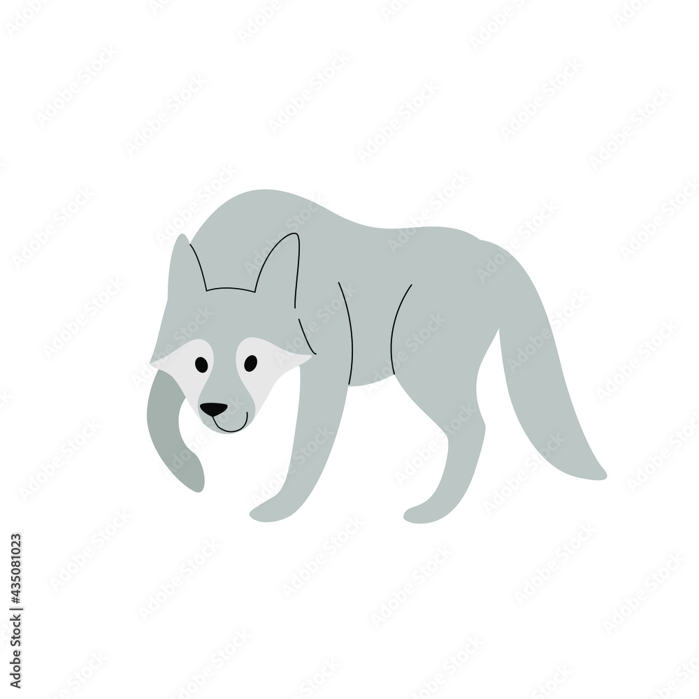 Cute wolf - cartoon animal character. Vector illustration in flat style isolated on white background. Cute wolf - cartoon animal character. Vector illustration in flat style isolated on white background.