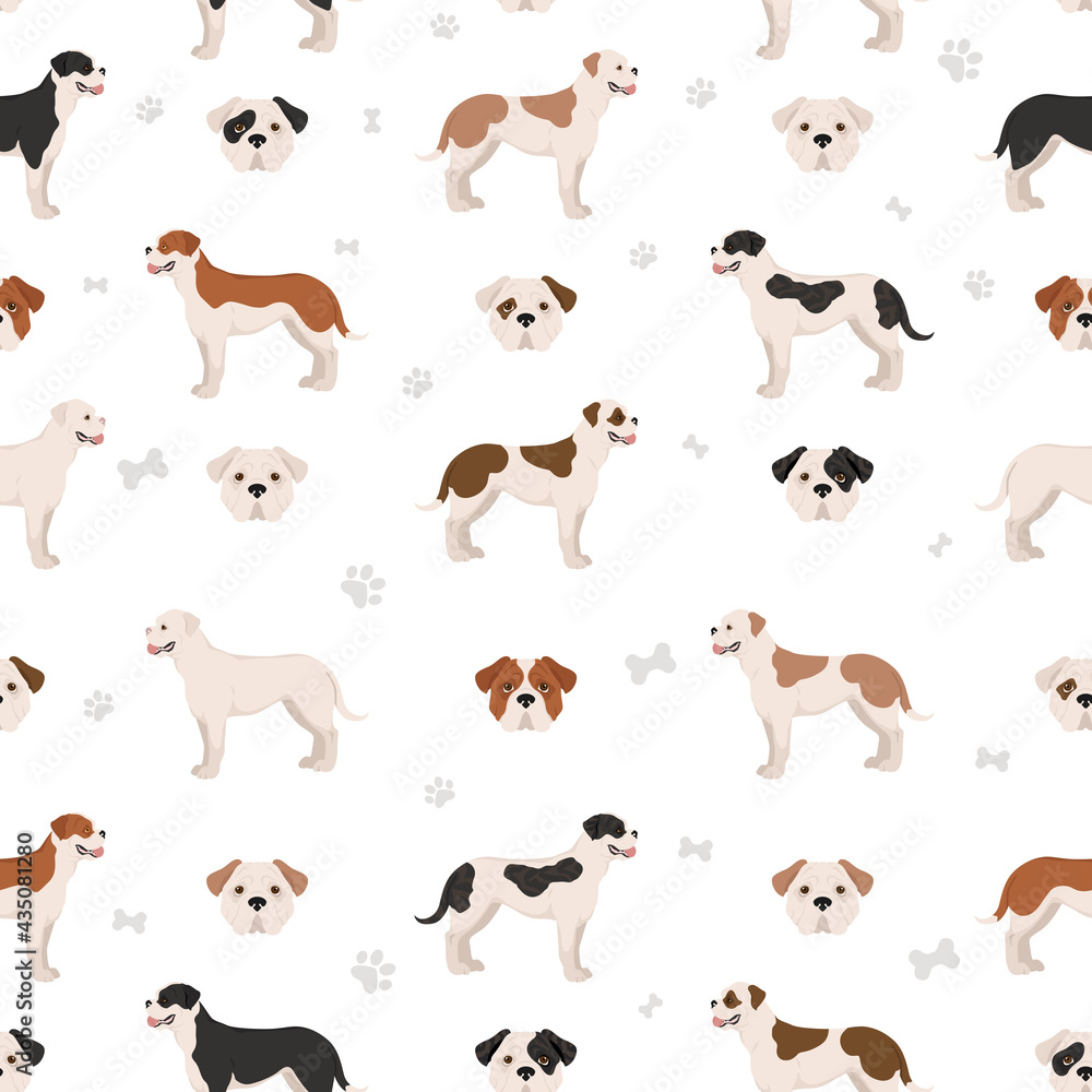 American bulldog all colours seamless pattern. Different coat colors set