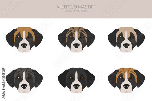 Alentejo mastiff all colours clipart. Different coat colors set