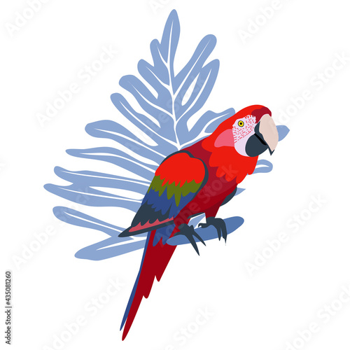 Tropical hand drawn colorful ara parrott with leaf background. Macaw parrot isolated on white background.
