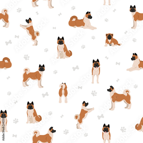 American akita all colours seamless pattern. Different coat colors set. © a7880ss