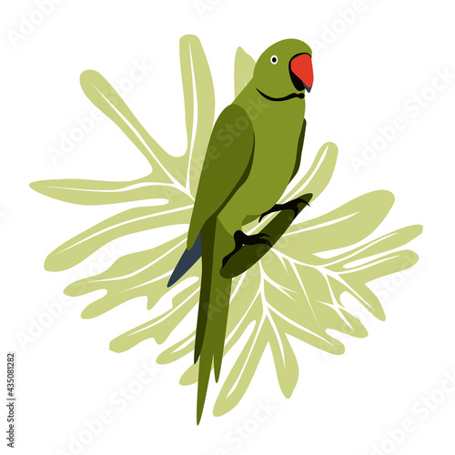 Tropical hand drawn colorful parrott with leaf background. Necklace parrot green plums red beak illustration isolated on white background.