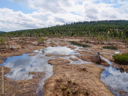Protected peat bogs in the top parts of the Jizera Mountains