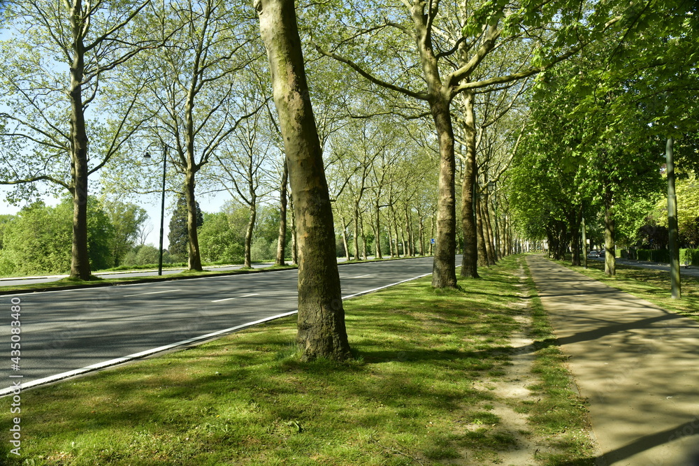 L'avenue de Tervuren sans circulation pendant le premier confinement de la crise sanitaire due au COVID 19 ,à Woluwe-St-Pierre