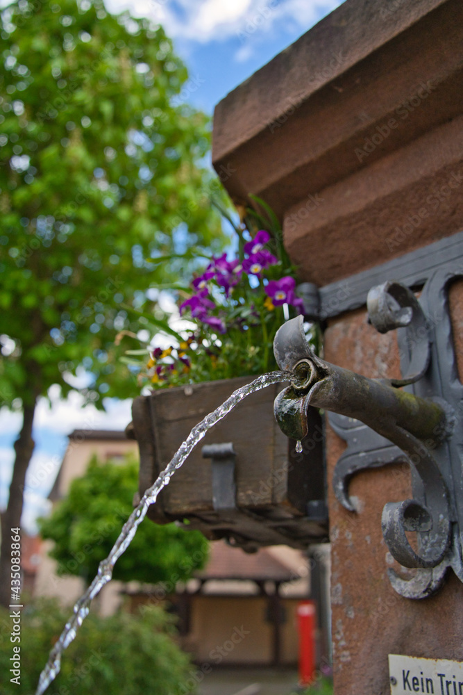 a small fountain in the palatinate forest with flowers and a tree in the background