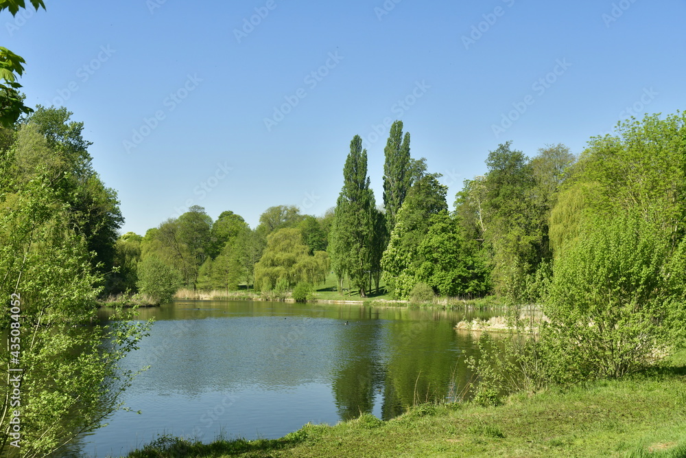 Végétation luxuriante au printemps le long d'un des étangs principaux du parc de Woluwe à l'est de Bruxelles Végétation luxuriante au printemps le long d'un des étangs principaux du parc de Woluwe à l'est de Bruxelles