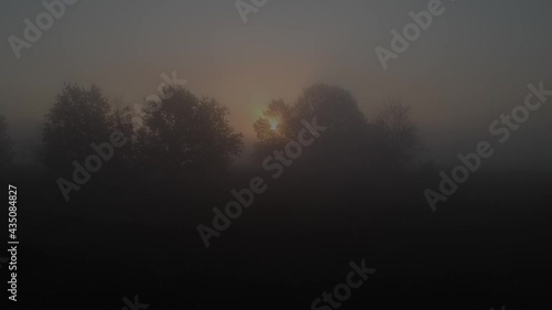 Thick summer fog - floating over the meadow at dawn