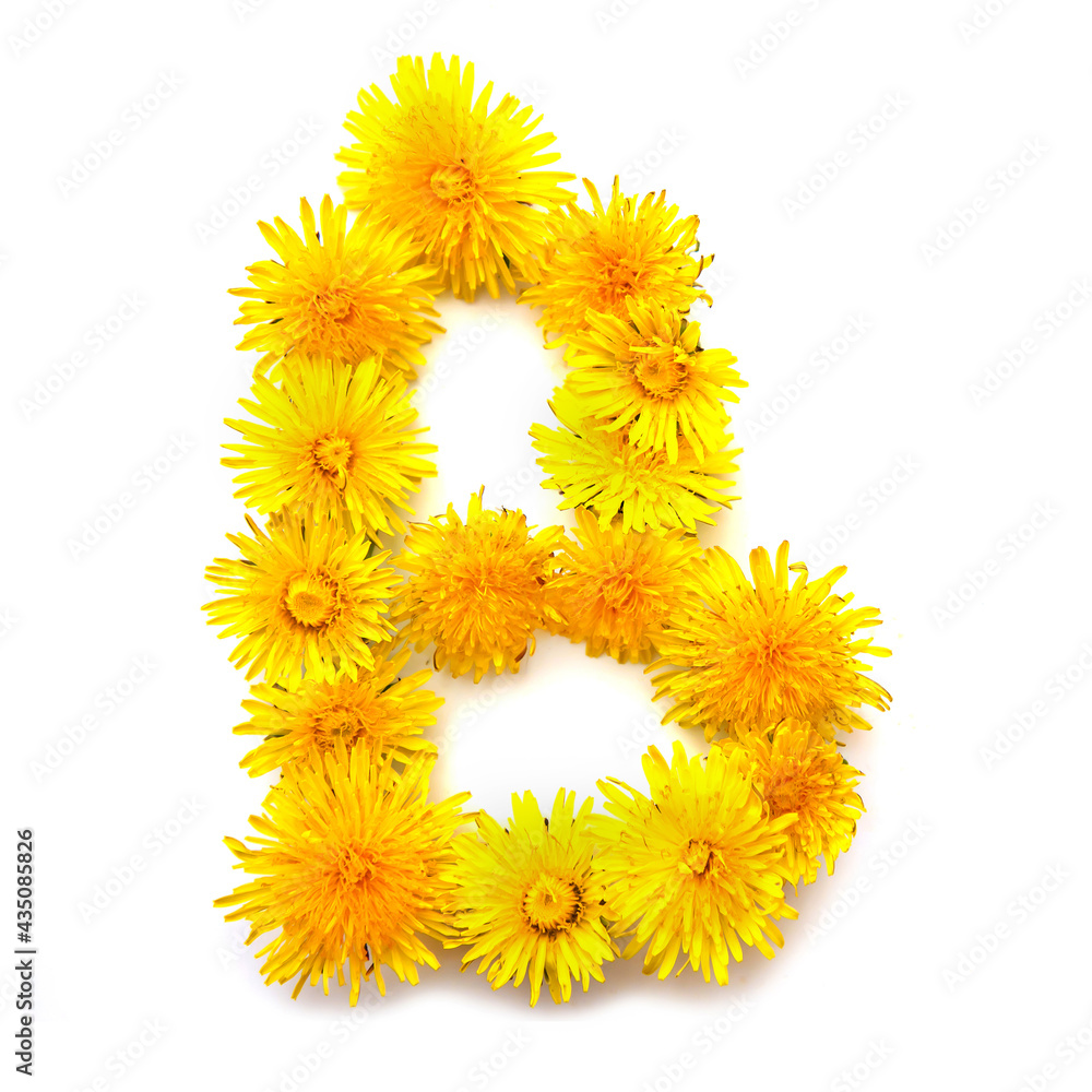 The letter B of yellow dandelions