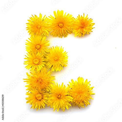 The letter E of yellow dandelions