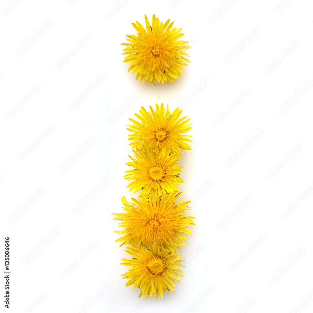 The letter I of yellow dandelions The letter I of yellow dandelions