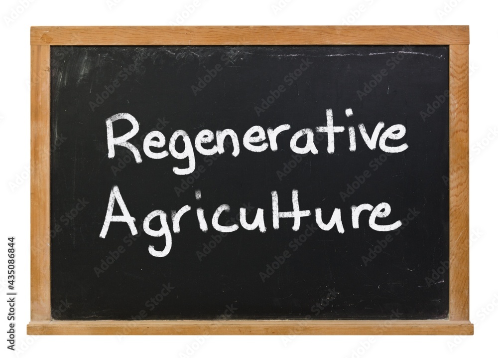 Regenerative agriculture written in white chalk on a black chalkboard isolated on white Regenerative agriculture written in white chalk on a black chalkboard isolated on white