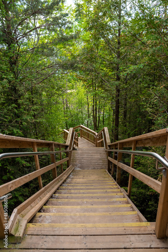 A stairway leads down through a forest towards Lake Huron as part of the Lighthouse Trail in Goderich  Ontario.