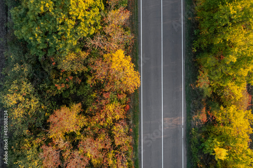 Aerial view of beautiful forest and empty road. Autumn season