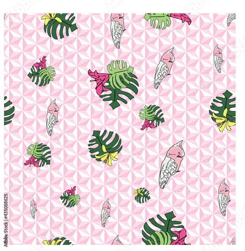 Vector hot pink background tropical birds, parrots, exotic cheese plant, monstera, hibiscus flowers. Seamless pattern background