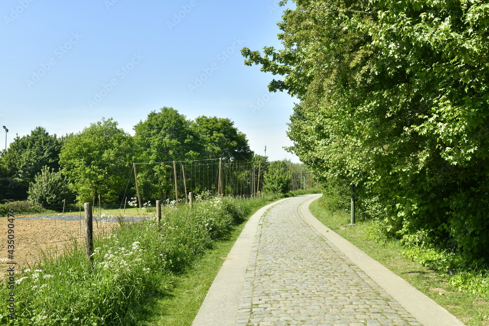 Chemin pavé traversant les zones rurales de l'extrémité  de Jette à l'ouest de Bruxelles Capitale Région 