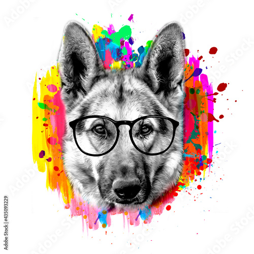 German shepherd dog with wo...