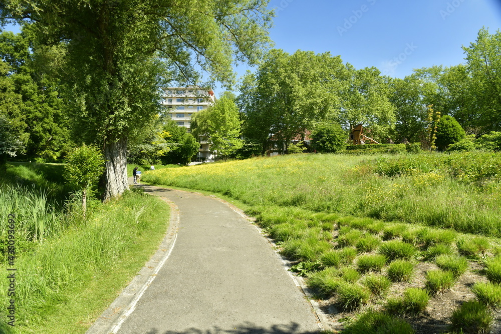 Chemin bitumeux entre gazons et bois au parc Seny à Watermael-Boitsfort 