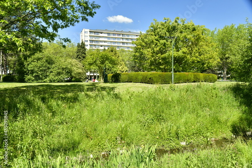 Le Leybeek enfuis entre les roseaux au printemps au parc Seny à Watermael-Boitsfort  photo